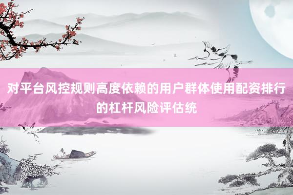 对平台风控规则高度依赖的用户群体使用配资排行的杠杆风险评估统