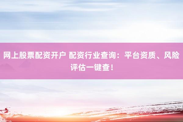 网上股票配资开户 配资行业查询：平台资质、风险评估一键查！